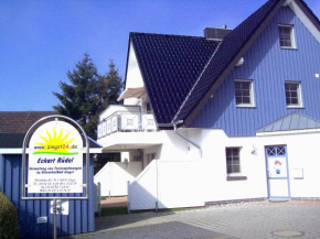 Ostseerose in Zingst